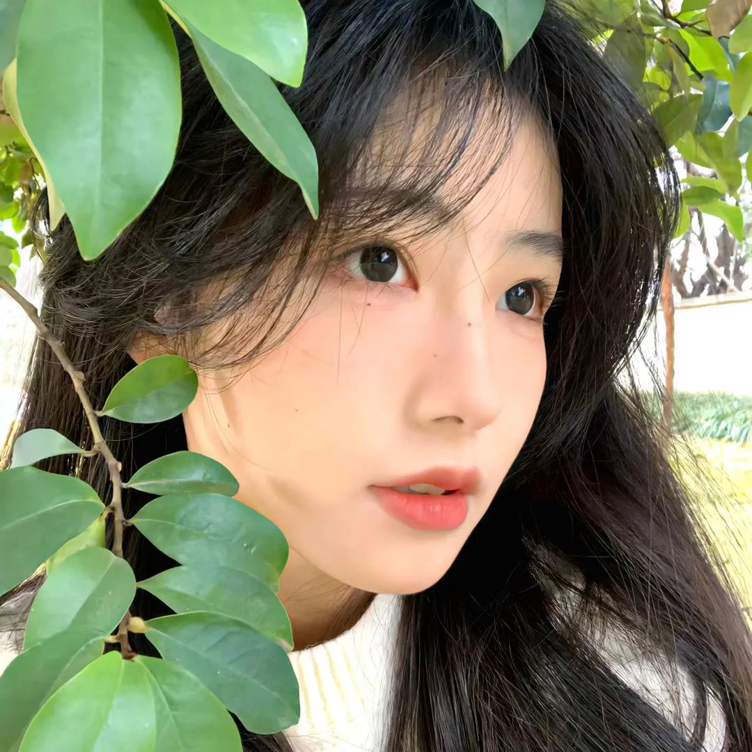 情陷亚维农